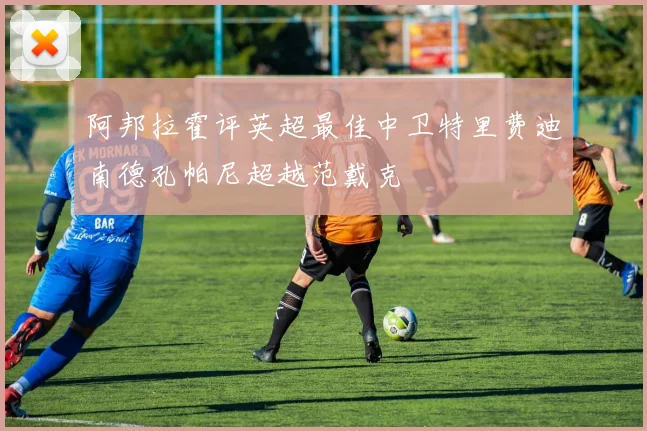 阿邦拉霍评英超最佳中卫特里费迪南德孔帕尼超越范戴克