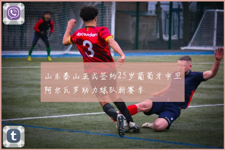 山东泰山正式签约25岁葡萄牙中卫阿尔瓦罗助力球队新赛季